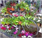 Scattata a Milano

Nokia N73
1/500
f 2,8