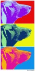 Umba's Pop Art (Omaggio a Andy Warhol)