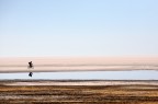 bici nel salar di uyuni