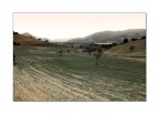 Just a Landscape No.1 Just a Landscape No.1