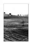 Barren Lands