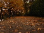 Arriva l'autunno Arriva l'autunno