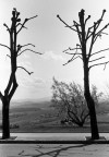 Quasi a primavera... Quasi a primavera...