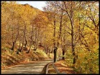 Autunno sulle Apuane Autunno sulle Apuane