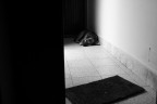 Non li abbandoniamo Non li abbandoniamo