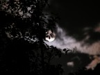 la mia luna la mia luna