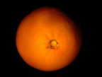 Arancio Arancio