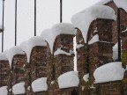 cuori di neve cuori di neve