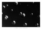 The Universe The Universe
