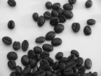 Caffè Caffè