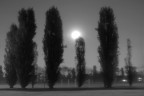 chiaro di luna chiaro di luna