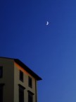...Luna di novembre... ...Luna di novembre...