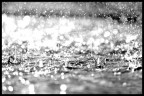the rain the rain
