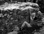 FRANZ_ATTACK FRANZ_ATTACK