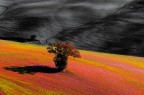 paesaggio fantastico 2 paesaggio fantastico 2