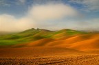 toscana toscana