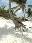 Relax dopo una dura giornata di lavoro Relax dopo una dura giornata di lavoro