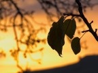 .: tramonto :.