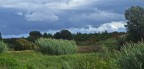Natura e passione Natura e passione