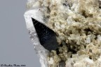 Anatasio Anatasio