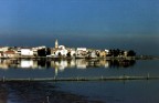 lesina