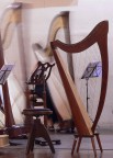 Arpa Celtica Arpa Celtica