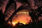 TRAMONTO ZANZIBAR 2006 TRAMONTO ZANZIBAR 2006