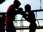 boxer silouette boxer silouette