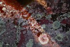 AbStRaCtIsMe AbStRaCtIsMe