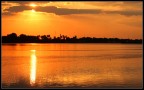 cuba #5 giallo