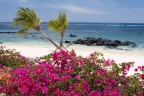 Paradise Paradise