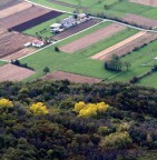 .. cercavo di catturare un p� di colori dell'autunno.. ma non c'er un bella luce
