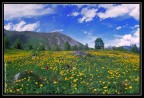 Palanfré, Parco Naturale delle Alpi Marittime, Cuneo. #5 Palanfré, Parco Naturale delle Alpi Marittime, Cuneo. #5