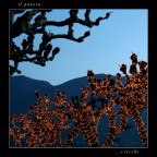 i ricchi ... e il povero