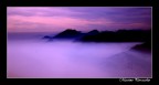 la bellezza della natura la bellezza della natura
