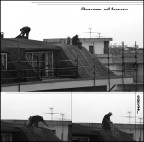 626/94...Sicurezza sul lavoro! 626/94...Sicurezza sul lavoro!