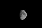Luna Luna