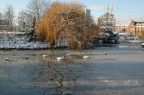 tra i giardini...di Tivolì tra i giardini...di Tivolì