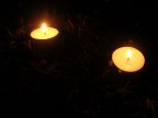 Luce Luce