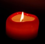 candelina candelina