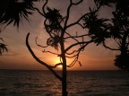 controluce