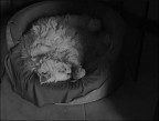 All'ombra dell'ultimo.......sonno All'ombra dell'ultimo.......sonno