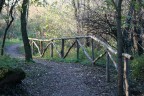 Bosco in citta Bosco in citta
