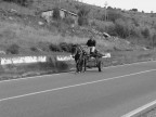 sicila anno 2006 sicila anno 2006