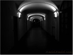 Segui la luce Segui la luce