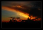 apocalypse apocalypse