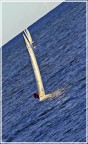 Regata Regata