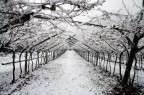 Inverno Trentino Inverno Trentino