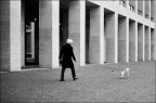 Il gioco Il gioco