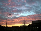 Alba Alba